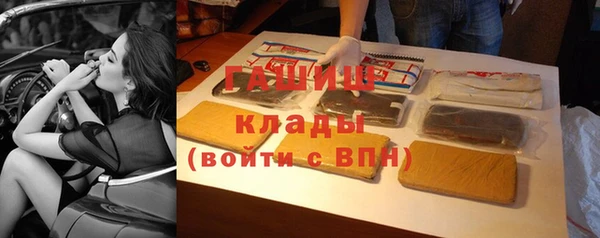 spice Богородск