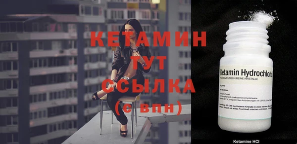 сатива Бородино