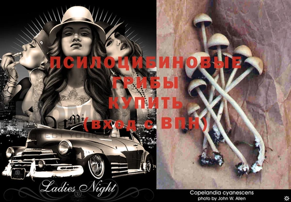 кокаин VHQ Богородицк